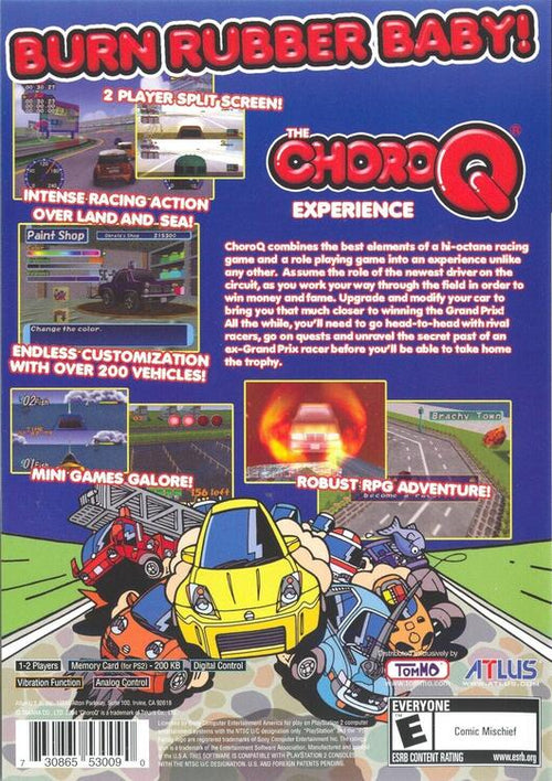 ChoroQ