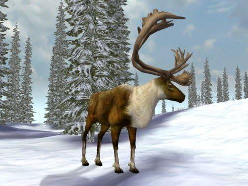 Les Aventures Légendaires de Cabela