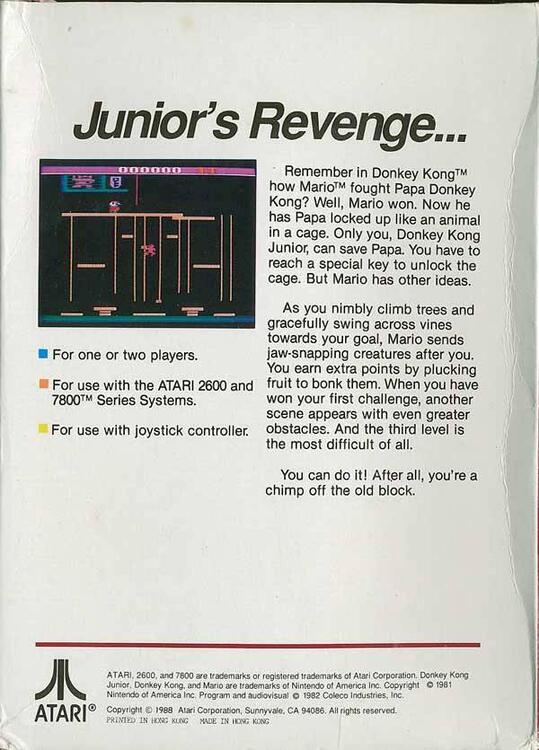 Donkey Kong Junior